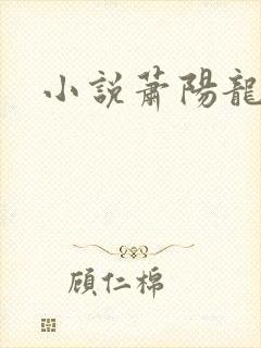 小说萧阳龙王殿