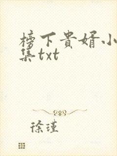 榜下贵婿小说全集txt