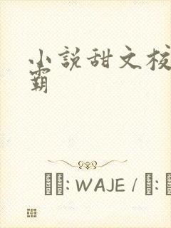 小说甜文校园校霸