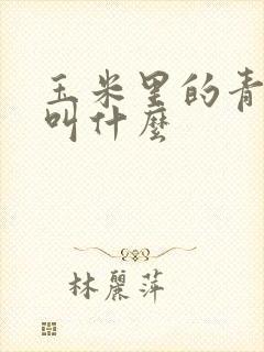 玉米里的青虫子叫什么