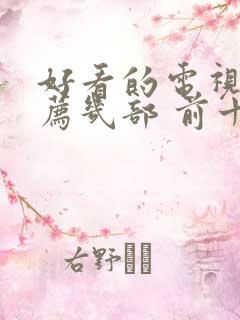 好看的电视剧推荐几部 前十名2021