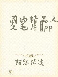 国内精品人妻久久毛片αpp