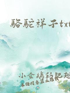 骆驼祥子txt
