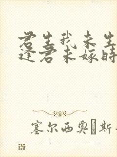 君生我未生恨不逢君未嫁时
