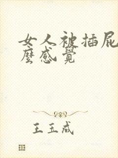 女人被插屁眼什么感觉