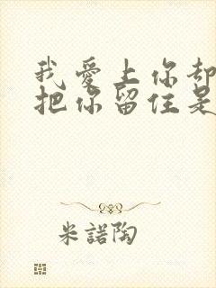 我爱上你却没能把你留住是什么歌