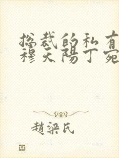 总裁的私有宝贝穆天阳丁宛情全本免费阅读