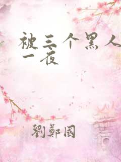 被三个黑人操了一夜