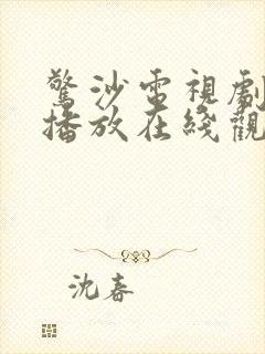 惊沙电视剧全集播放在线观看国语