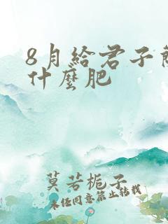 8月给君子兰施什么肥