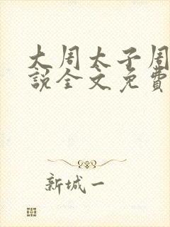 大周太子周铮小说全文免费