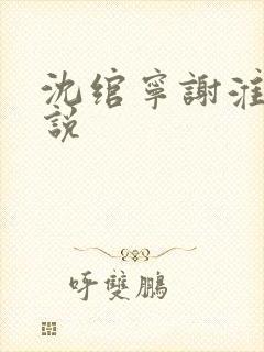 沈绾宁谢淮今小说