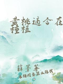黄桃适合在哪里种植