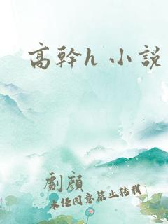 高干h 小说