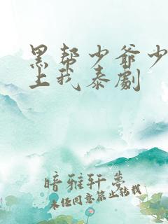黑帮少爷少爷爱上我泰剧