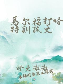 马尔福打哈利波特训诫文