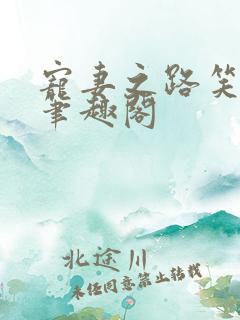 宠妻之路笑佳人笔趣阁