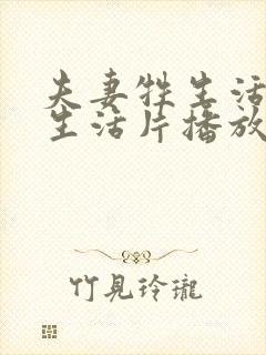 夫妻牲生活黄色生活片播放一遍