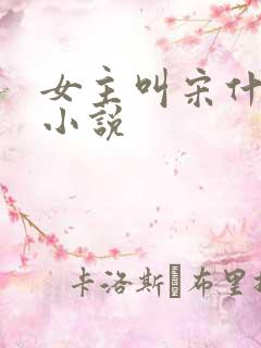 女主叫宋什么的小说