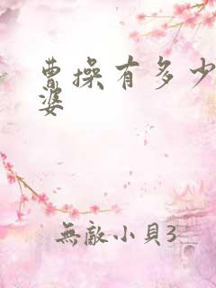 曹操有多少个老婆