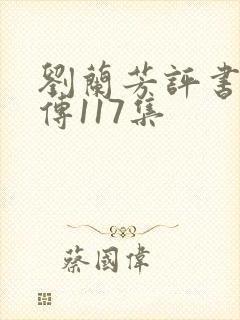 刘兰芳评书岳飞传117集