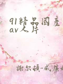 91精品国产成av人片