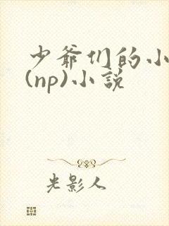 少爷们的小女仆(np)小说