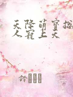 天降萌宝总裁大人宠上天