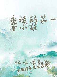 永远的第一名原著小说