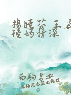 杨晓芬 王磊 后妈情深