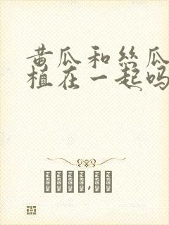 黄瓜和丝瓜能种植在一起吗