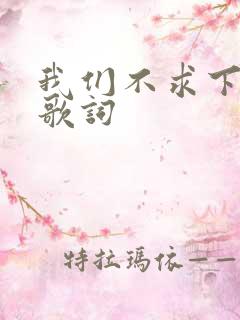 我们不求下辈子歌词