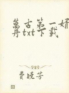 万古第一婿许无舟txt下载