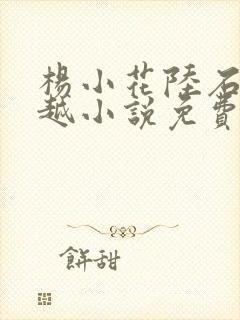 杨小花陆石生穿越小说免费阅读