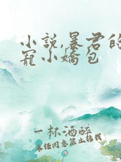 小说,暴君的甜宠小娇包