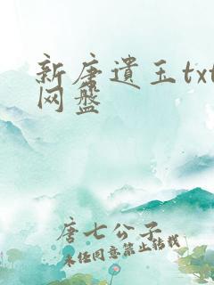 新唐遗玉txt网盘