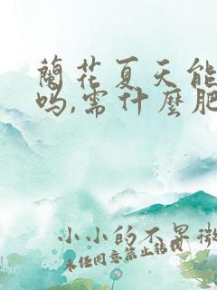 兰花夏天能施肥吗,需什么肥