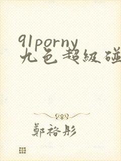 91porny九色超级碰