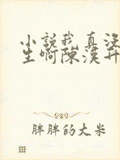 小说我真没想重生啊陈汉升全文