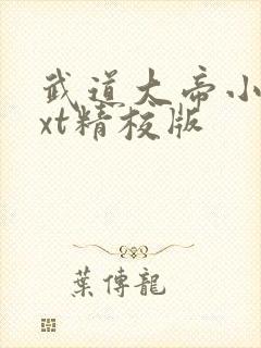 武道大帝小说txt精校版