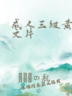 成人三级黄色中文片