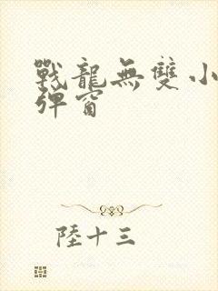 战龙无双小说无弹窗