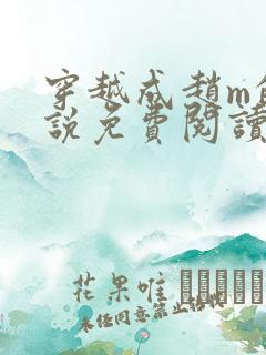 穿越成赵m的小说免费阅读
