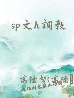 sp文h调教