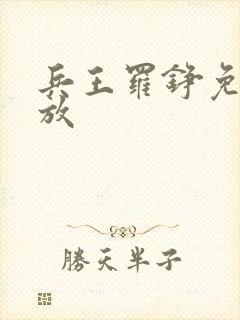 兵王罗铮免费播放