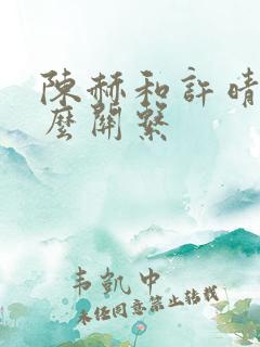 陈赫和许晴是什么关系