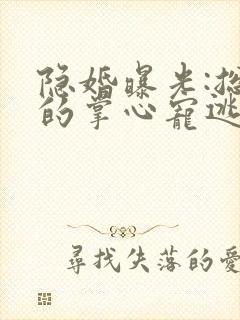 隐婚曝光:总裁的掌心宠逃婚了小说 隐婚曝光:总裁的掌心宠逃婚了小说