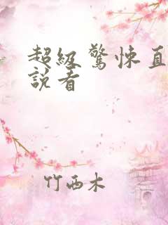 超级惊悚直播小说看