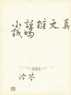 小说推文真的赚钱吗