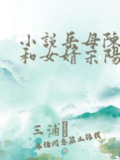 小说岳母陈丽珍和女婿宋阳免费阅读全文 小说岳母陈丽珍和女婿宋阳免费阅读全文